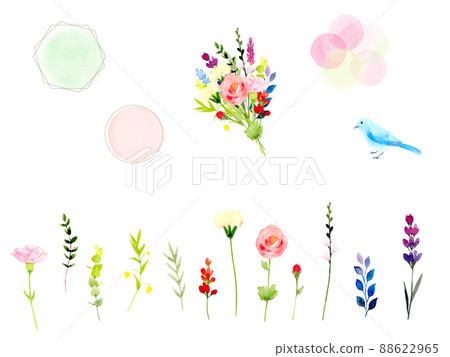 一套漂亮的花材和透明水彩畫的框架 一套漂亮的花材和透明水彩畫的框架 88622965