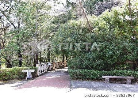 群馬縣高崎市,觀音山響橋附近,木棧道入口和新鮮綠地(染料植物園方向) 群馬縣高崎市,觀音山響橋附近,木棧道入口和新鮮綠地(染料植物園方向) 88622967