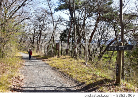 Kannonyama Walking Path (Takasaki Nature Trail) and hikers in Takasaki City, Gunma Prefecture 88623009