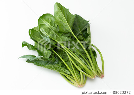 Spinach white background Spinach white background 88623272