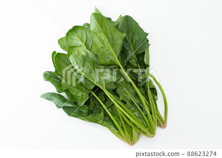 Spinach white background 88623274