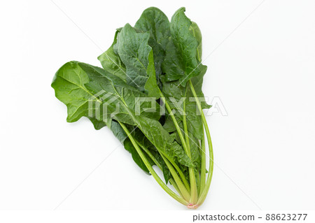 Spinach white background 88623277