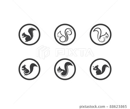 Squirrel vector icon 88623865