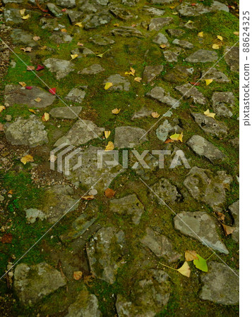 Fallen leaves and cobblestones Fallen leaves and cobblestones 88624325