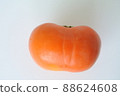 Fuyu persimmon white background 88624608