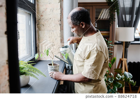 Side view of senior retired black man in t-shirt watering domestic plants 88624718