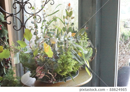 Eucalyptus flower arrangement 88624985