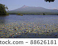六月 北海道大沼公園 睡蓮和駒岳 88626181
