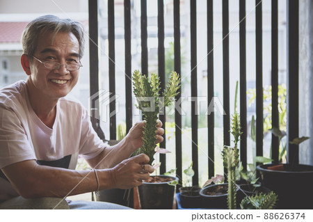 asian man toothy smiling face holding euphorbia planting in hand asian man toothy smiling face holding euphorbia planting in hand 88626374