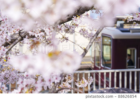 櫻花盛開的阪急神崎川站[大阪] 88626854