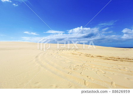Beautiful sand dunes Port Stephens, Australia. 88626959