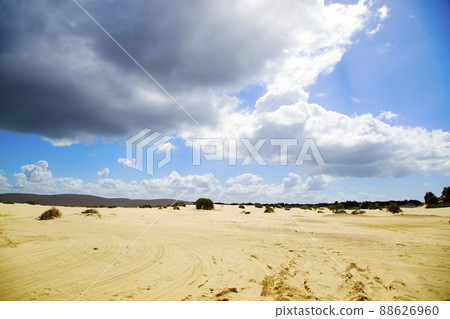 Beautiful sand dunes Port Stephens, Australia. Beautiful sand dunes Port Stephens, Australia. 88626960