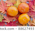 Fresh organic fruit, persimmon, persimmon 88627493