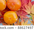 Fresh organic fruit, persimmon, persimmon 88627497