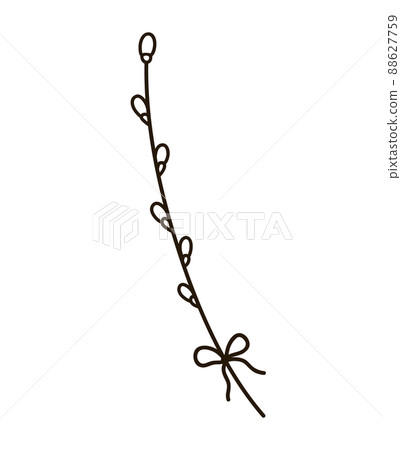 Pussy-willow branch isolated on white background 88627759