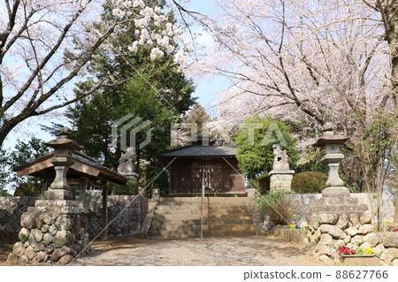 2021 Mishima Shrine in full bloom with 600 years of history in Hatoyama Town, Saitama Prefecture, which was selected as the happiest town in Japan 2021 Mishima Shrine in full bloom with 600 years of history in Hatoyama Town, Saitama Prefecture, which was selected as the happiest town in Japan 88627766