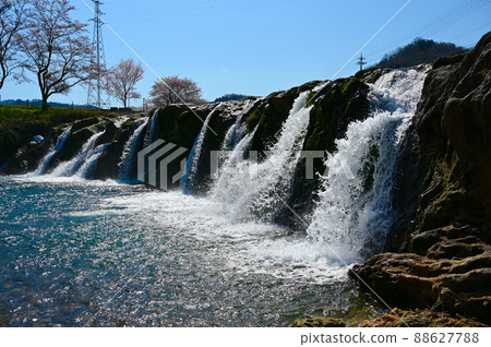 Toniigataki 小松市 88627788