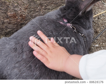 與生物接觸 與生物接觸 88628176