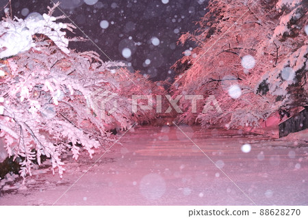 冬天的櫻花燈（青森縣弘前市） 88628270