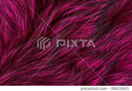 Natural fur texture, trendy color, flat lay closeup Natural fur texture, trendy color, flat lay closeup 88628483