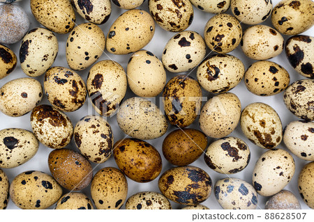 Background from quail eggs. Easter background. Easter quail eggs. 88628507
