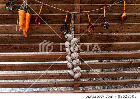 Ripe garlic bulbs hang on an old fence for ventilation. Preparing the autumn season for winter. 88628508