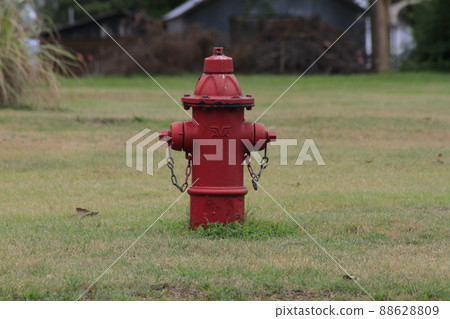 A Red Fire Hydrant in a yard with green grass that's colorful A Red Fire Hydrant in a yard with green grass that's colorful 88628809