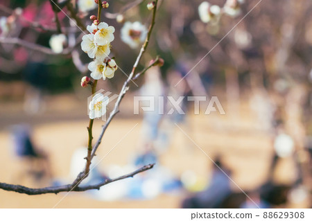 Haishi公園的Meishi 88629308