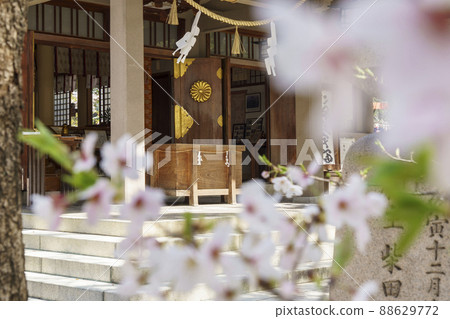 Naniwa Kozu Shrine (Kozu Shrine) Haiden Sakura 前面的模糊 88629772