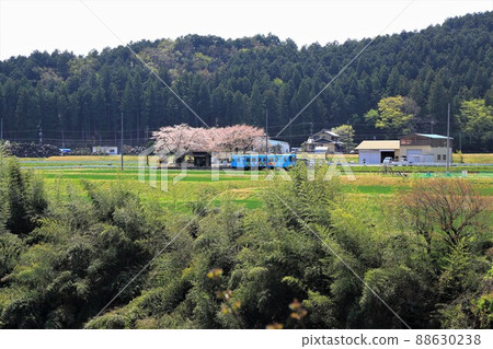 Spring breeze Neoji 3 (Sawara, Motosu City, Gifu Prefecture) 88630238