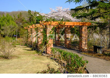 English Garden Rosa & Berry Tawada 88630363