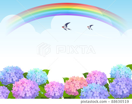 繡球花和彩虹背景框架 88630519