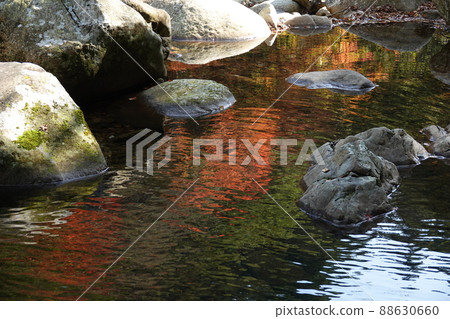 秋天的落葉反映在峽谷谷的表面上 秋天的落葉反映在峽谷谷的表面上 88630660
