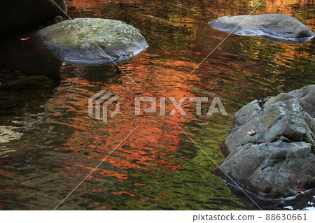 秋葉倒映在清澈的溪流目黑川上 88630661