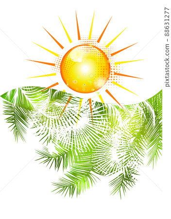 Fropical palm leaves frame botanical vector illustration. Exotic nature card or banner . Jungle green leaf floral pattern. Tropical palm leaves card. Palm trees and sun. Hello summer. 88631277