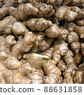 Ginger roots in large numbers, close-ups. 88631858
