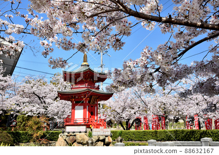 Shitennoji Temple (Kameyushima Houtendo) [Tennoji Ward, Osaka City, Osaka Prefecture] 88632167