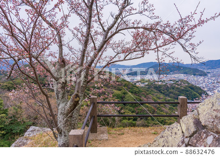 （兵庫縣）洲本市 洲本城跡 櫻花盛開 88632476