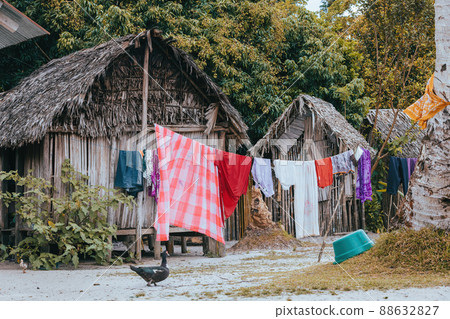 Laundry day in Masoala, Madagascar Laundry day in Masoala, Madagascar 88632827