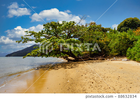 Beautiful view of the coast of Masoala National Park in Madagascar 88632834