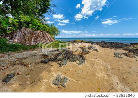 Beautiful view of the coast of Masoala National Park in Madagascar Beautiful view of the coast of Masoala National Park in Madagascar 88632840