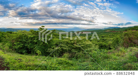 Mago National Park in Omo Valley, Southern nations Etiopia 88632848