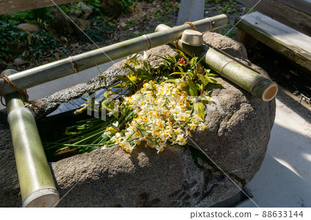 Chita Shikoku Sacred Ground 35th Fudasho Naruganji Temple Chita Shikoku Sacred Ground 35th Fudasho Naruganji Temple 88633144