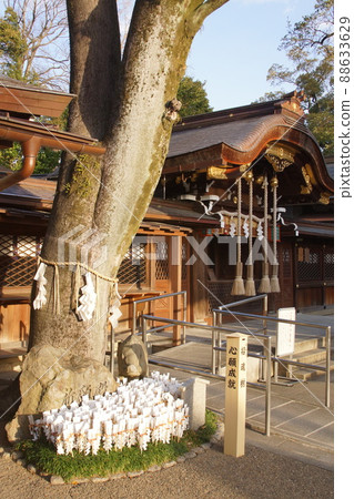 古神社(京都) 古神社(京都) 88633629