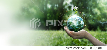 Earth Day and Environment concept, Hands protect blue earth and white flower with flying butterfly on green morning background. Save clean planet, Saving environment, Ecology and green nature. 88633805
