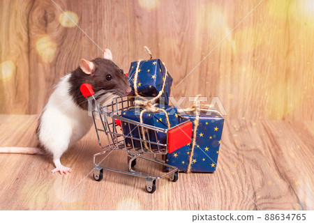 New Year concept, toys.Cute decorative rat sits with gifts. New Year's gifts, holiday, congratulations. 88634765