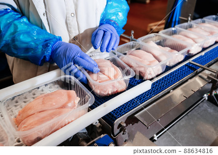 Meat processing plant.Chicken fillet production line .Automated production line in modern food factory.Conveyor Belt Food.Modern poultry processing plant. Meat processing plant.Chicken fillet production line .Automated production line in modern food factory.Conveyor Belt Food.Modern poultry processing plant. 88634816