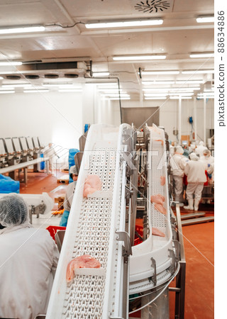 Meat processing plant.Industrial equipment at a meat factory.Modern poultry processing plant.People working at a chicken factory - stock photo.Automated production line in modern food factory. 88634886