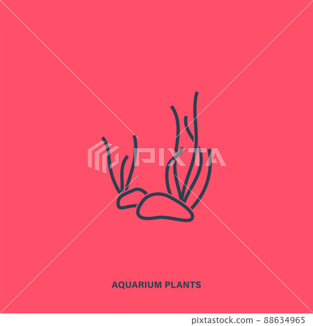 Vector line art aquarium plants icon. Isolated outline seaweed pictogram Vector line art aquarium plants icon. Isolated outline seaweed pictogram 88634965