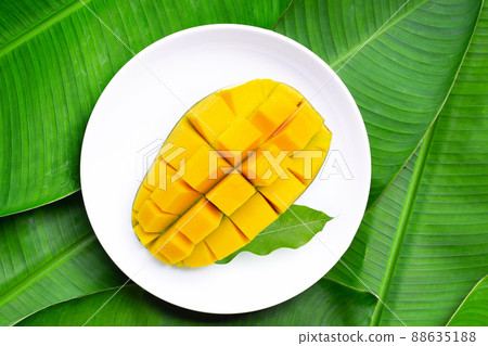 Tropical fruit, Mango in white plate on green leaves Tropical fruit, Mango in white plate on green leaves 88635188